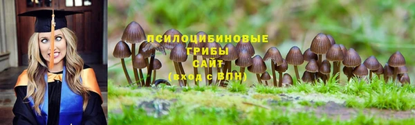 мяу мяу мука Михайловка