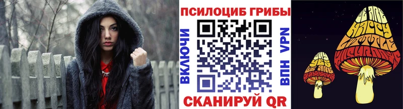 закладка  Краснознаменск  KRAKEN ссылки  Псилоцибиновые грибы Magic Shrooms 