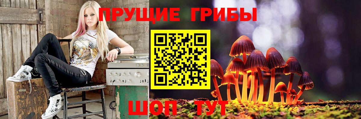 закладка  Вход с VPN  Краснознаменск  Галлюциногенные грибы Psilocybine cubensis  Псилоцибиновые грибы мицелий 