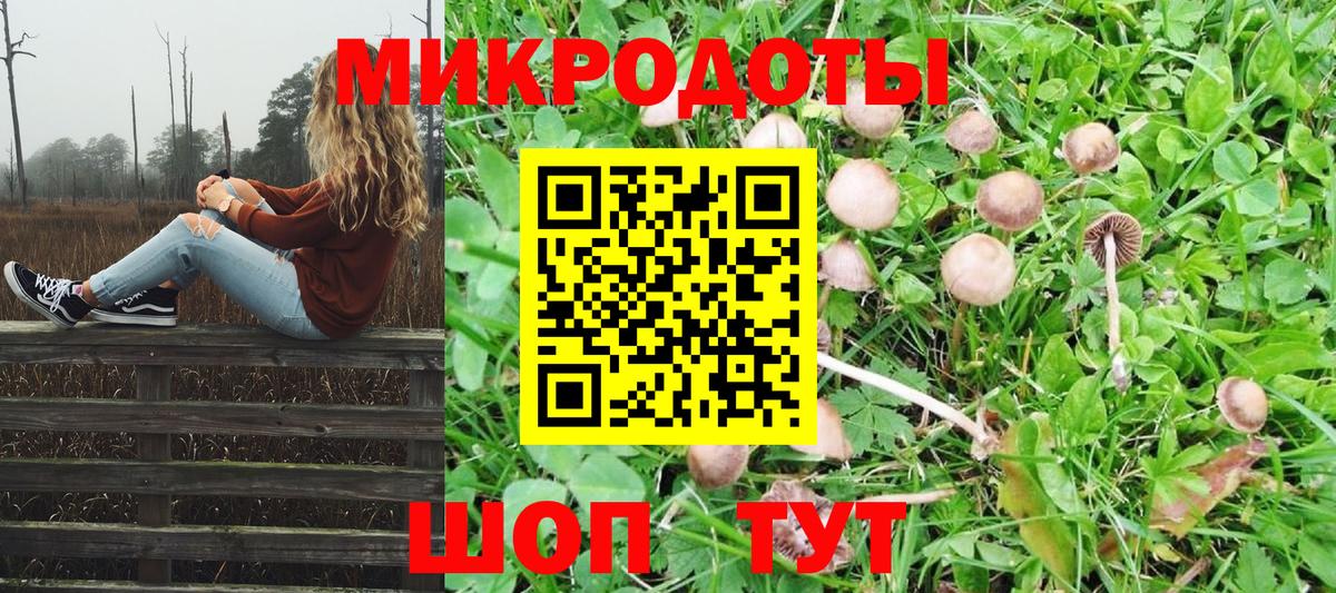 Галлюциногенные грибы ЛСД Краснознаменск